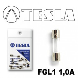 FGL1 1A AUTO OSIGURAC