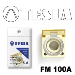 FM 100 OSIGURAČ